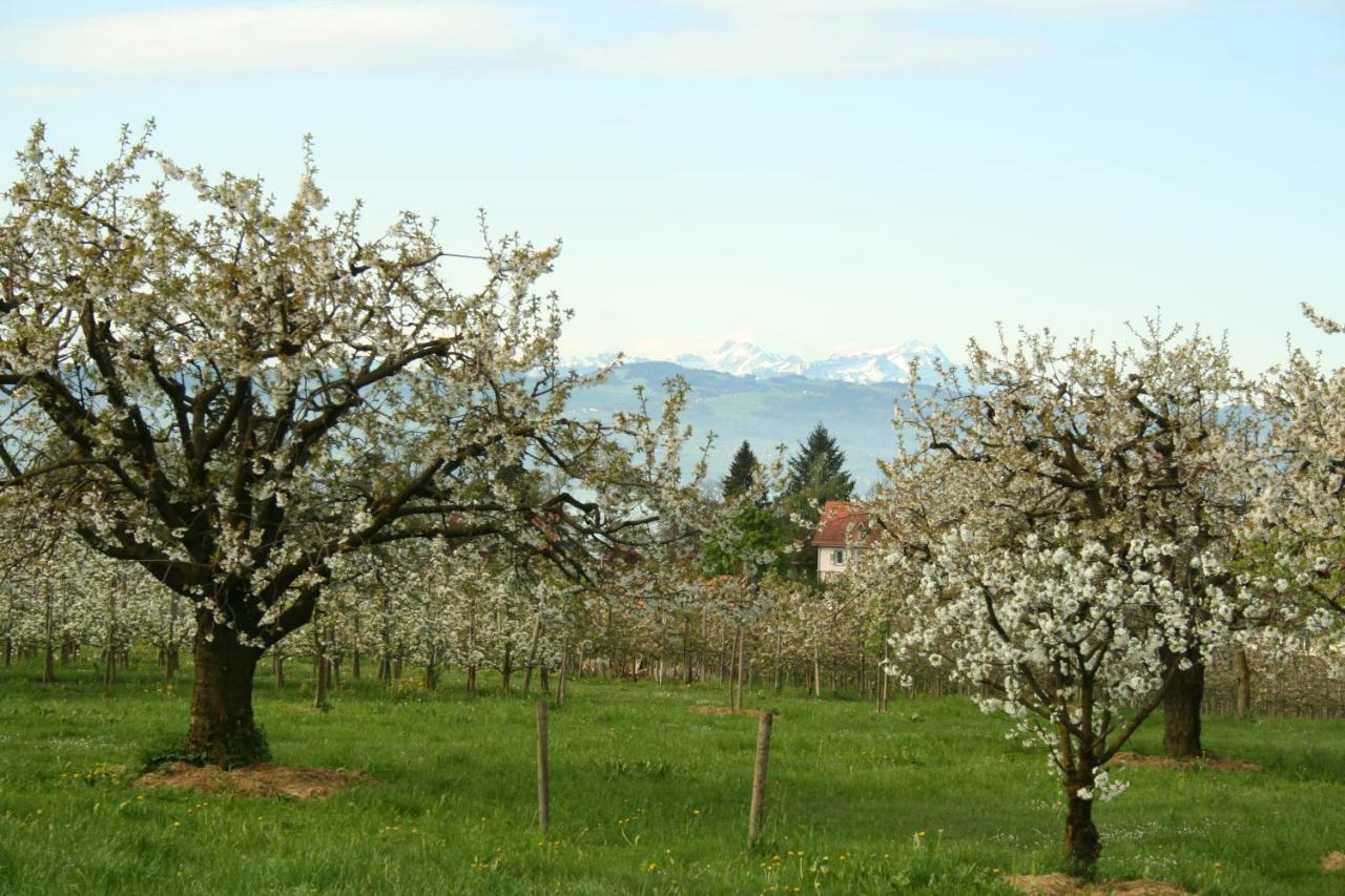 Villa Linke Am Bodensee Nonnenhorn Exterior foto